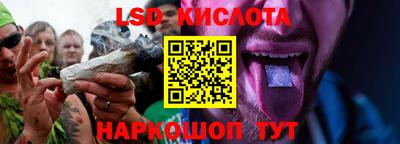 прущие грибы Краснознаменск